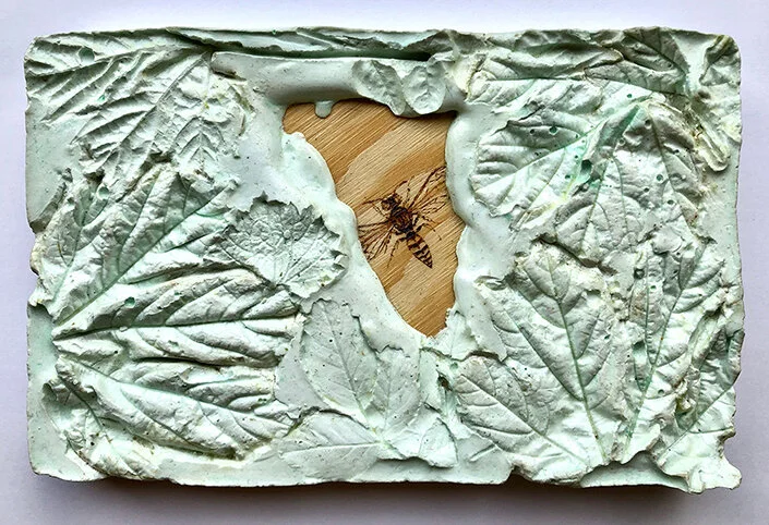 Philantus triangulum.JPG