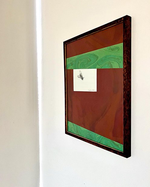 1.Sediment- Syrphus ribesii.JPG