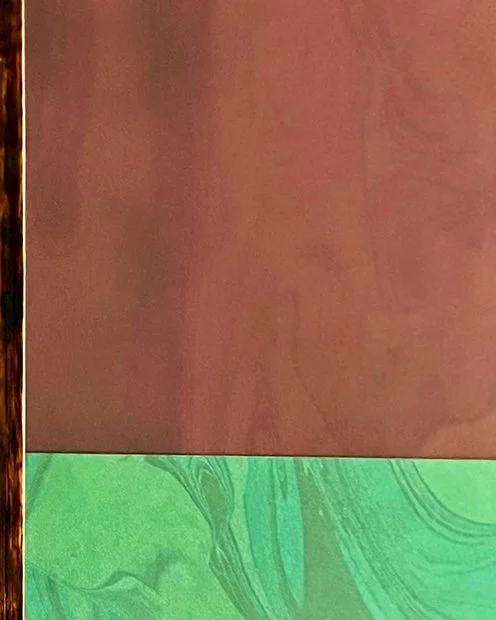 2.Sediment- Syrphus ribesii.JPG