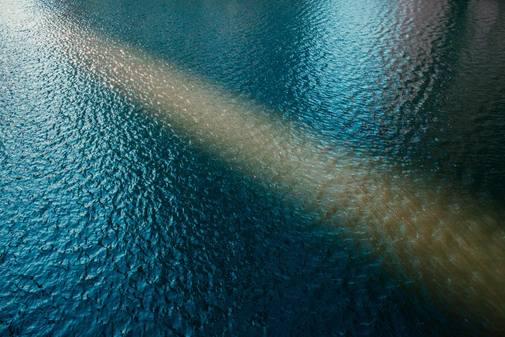 61ed3d8ec136a2b1-_MG_4808.jpg