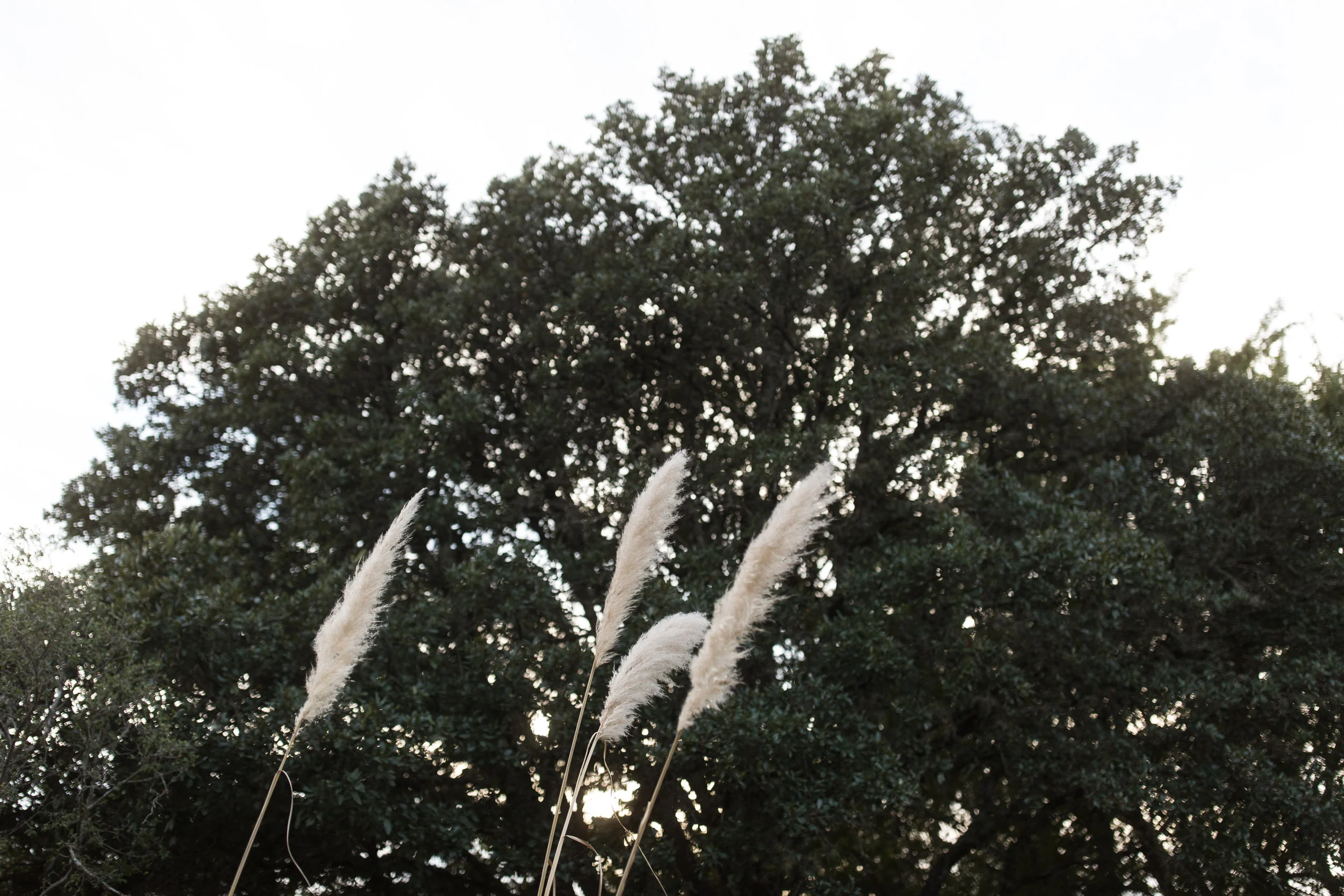 ET8A0432.jpg