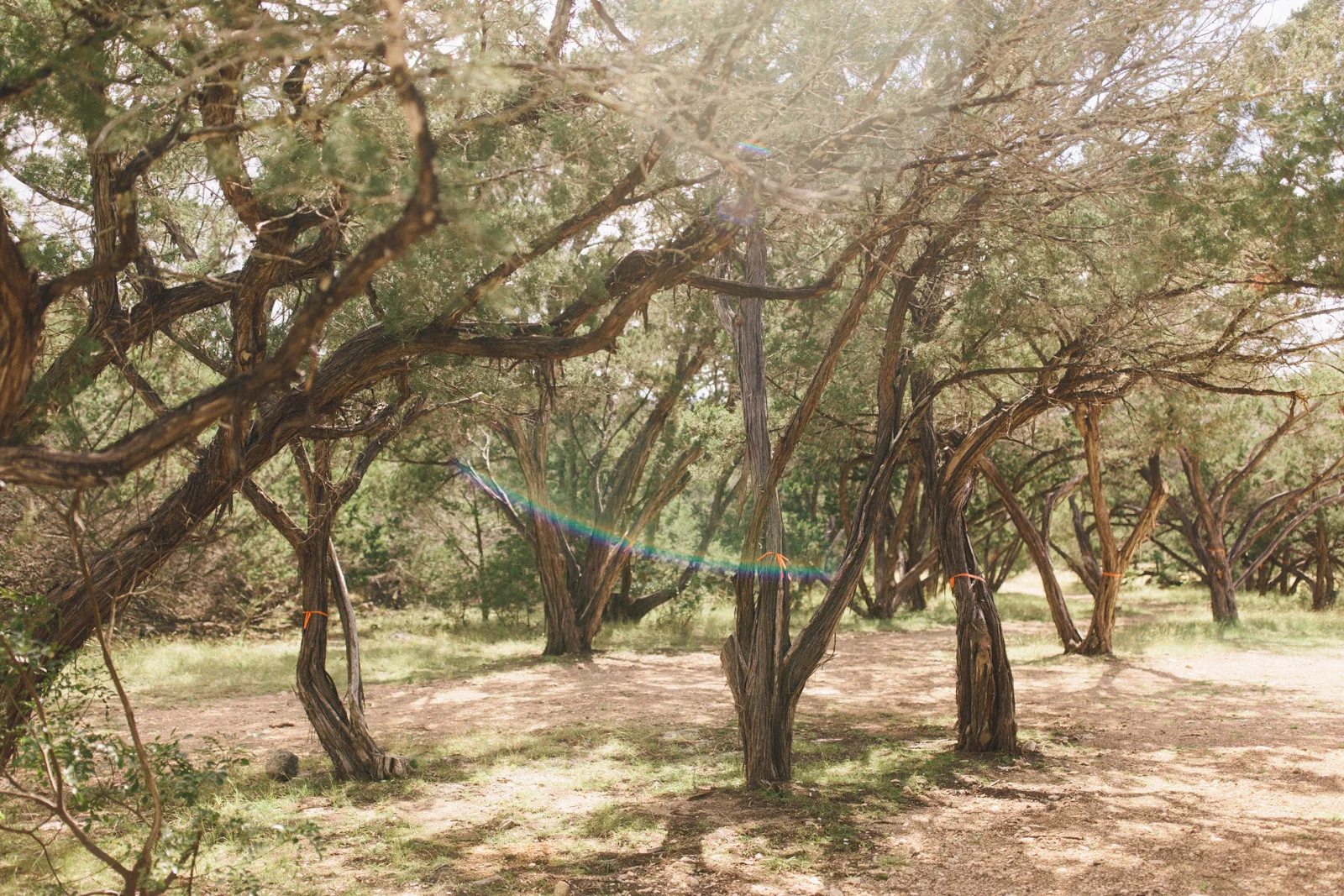 ET8A0690.jpg
