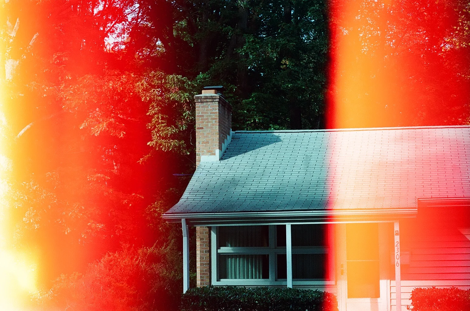 84920037.jpg