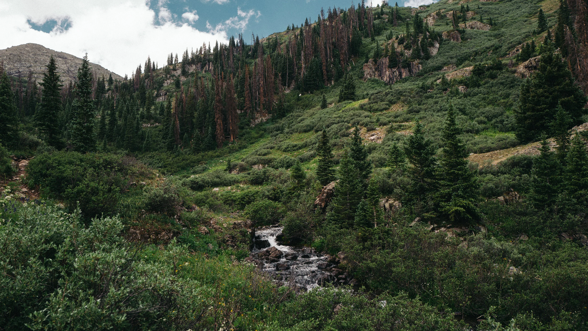 L1070761.jpg