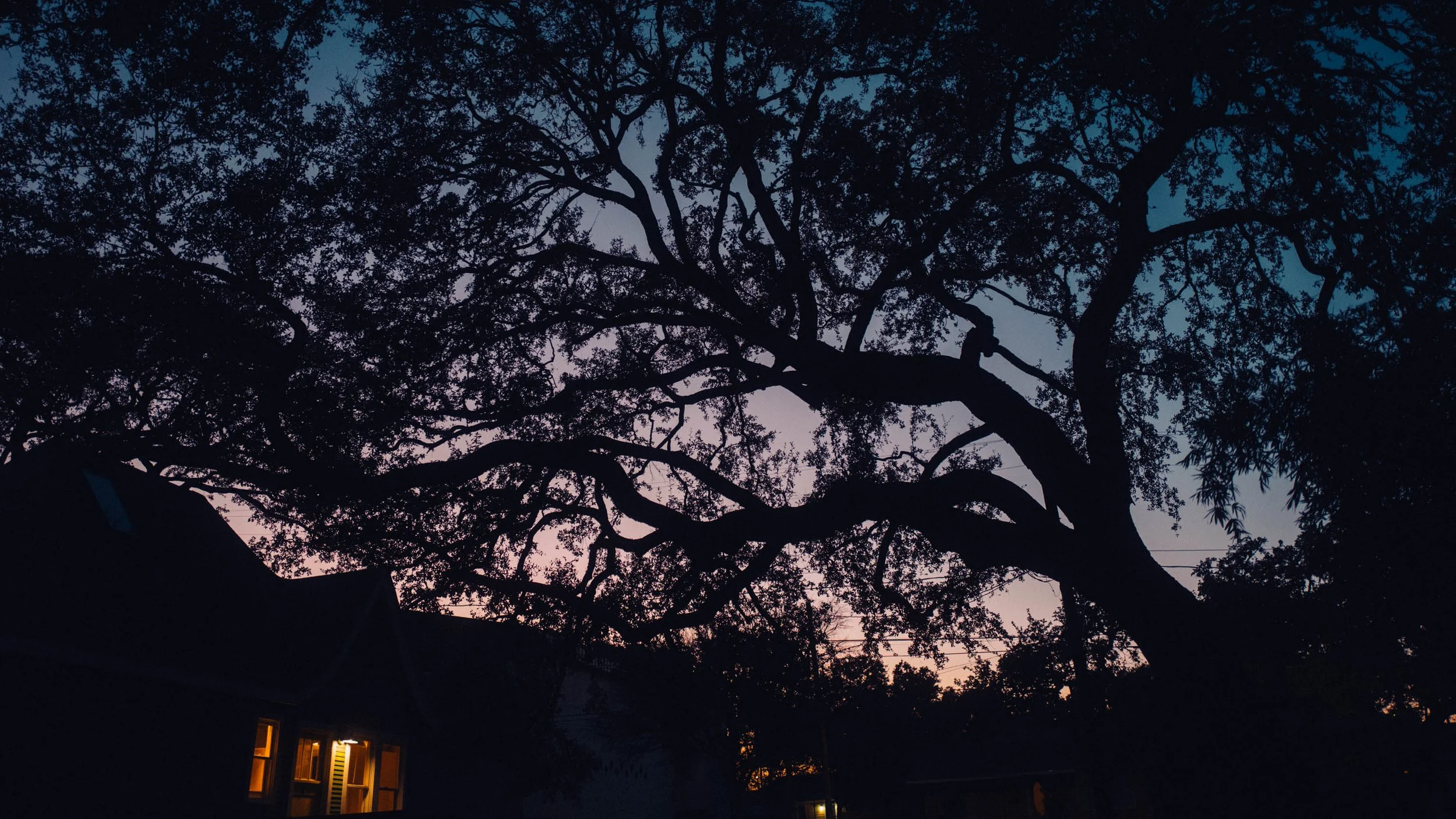 CAMP LUCKy, AUSTIn, TX