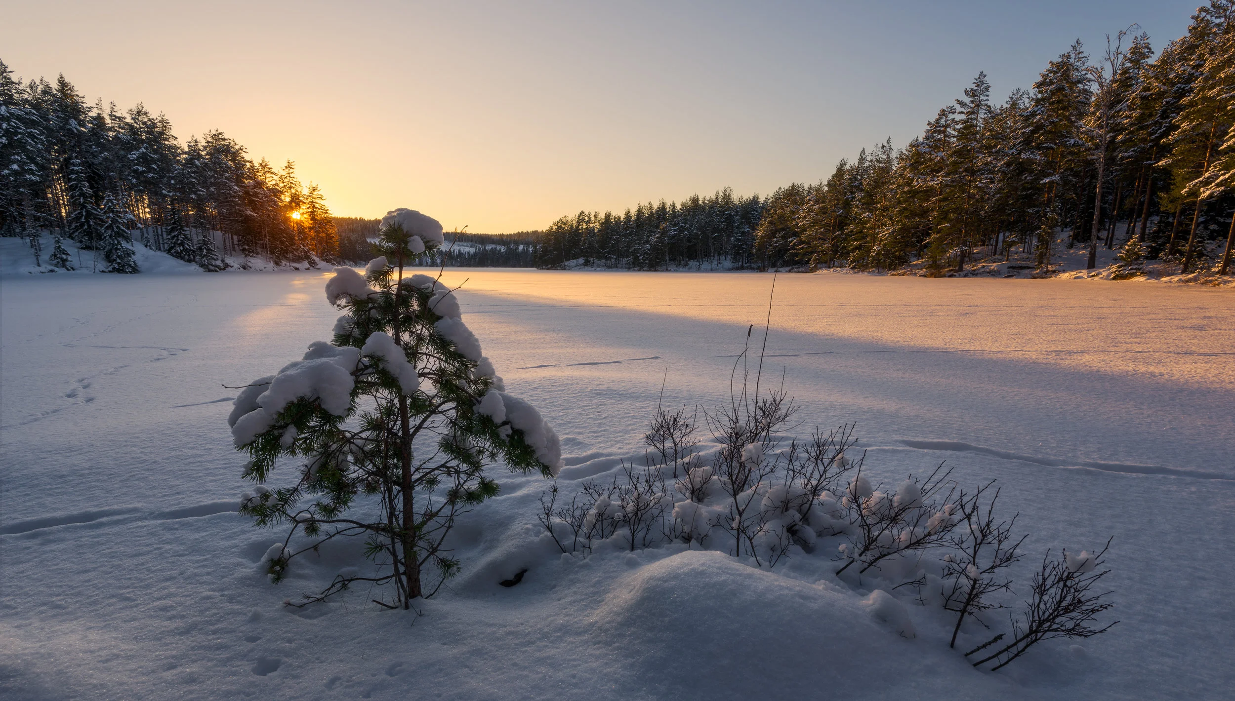 Wintersun