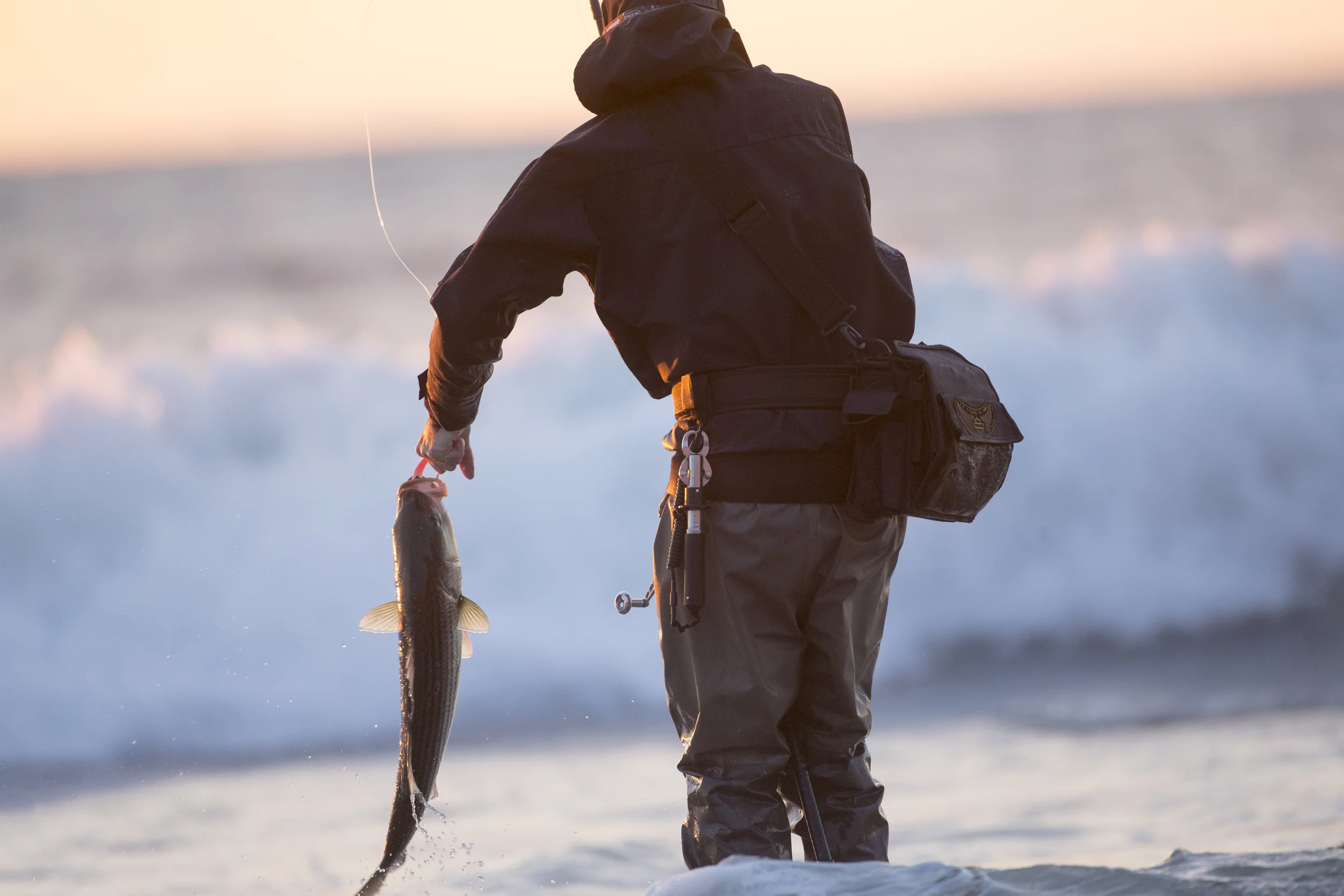 fish hold1.jpg