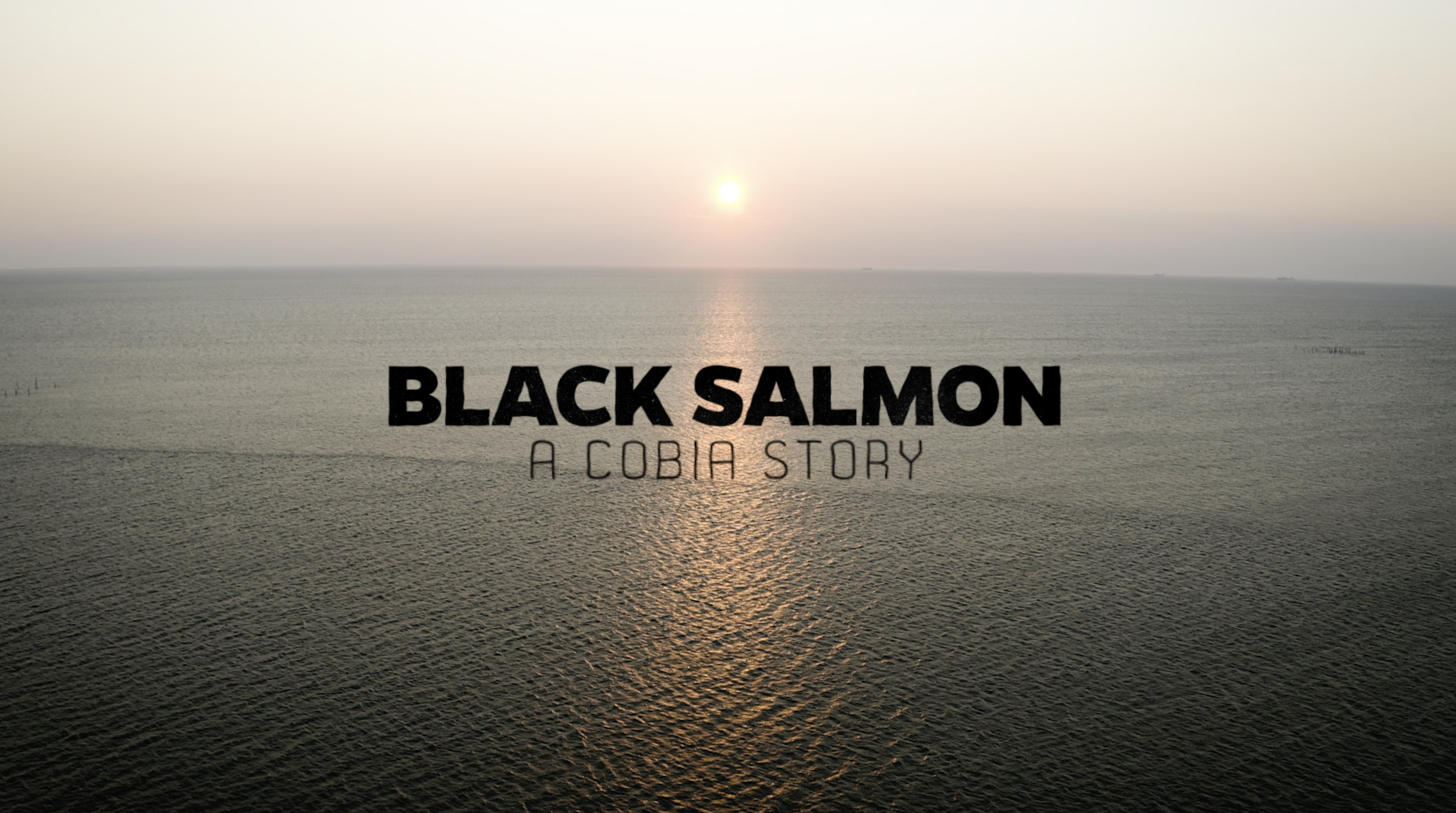 Black Salmon