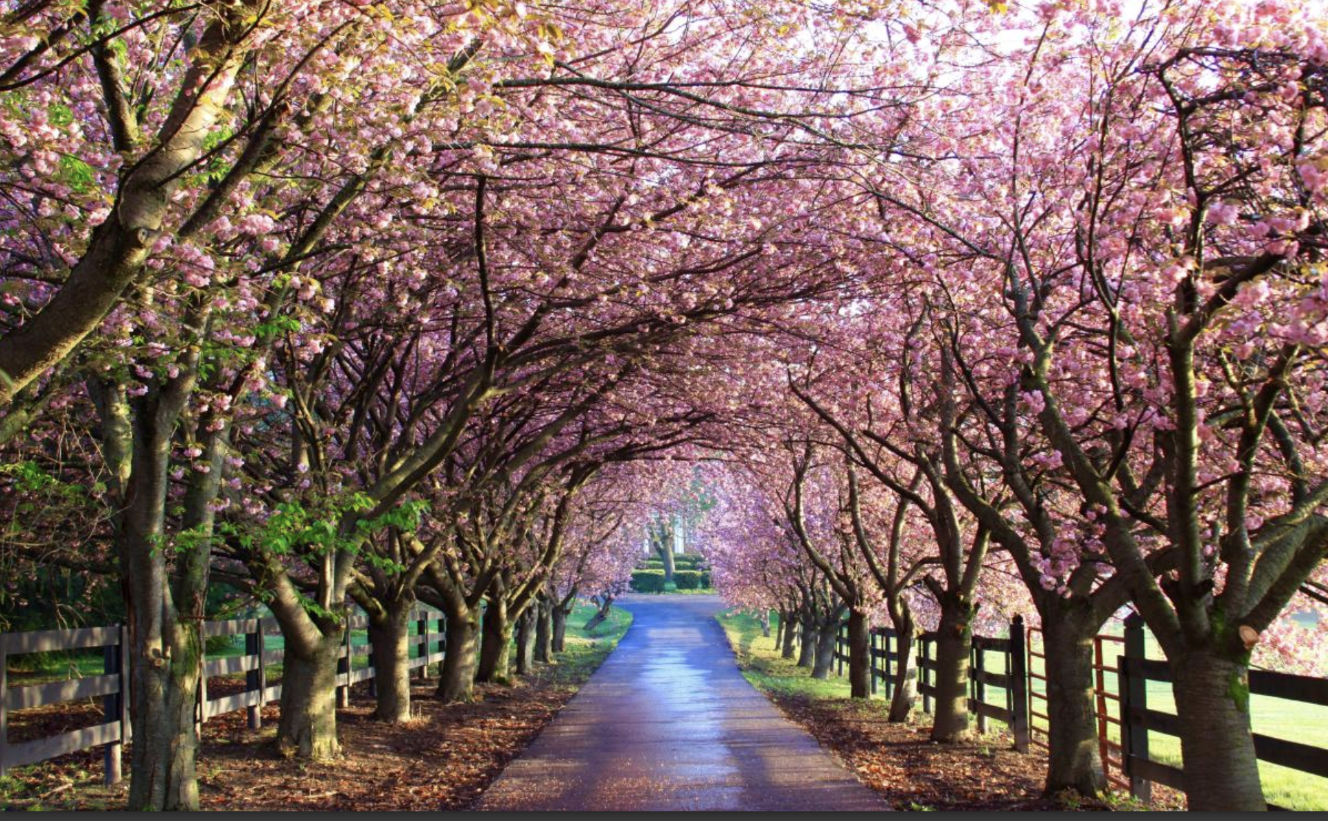 Screenshot 2025-11-13 at 1.32.03 PM.png