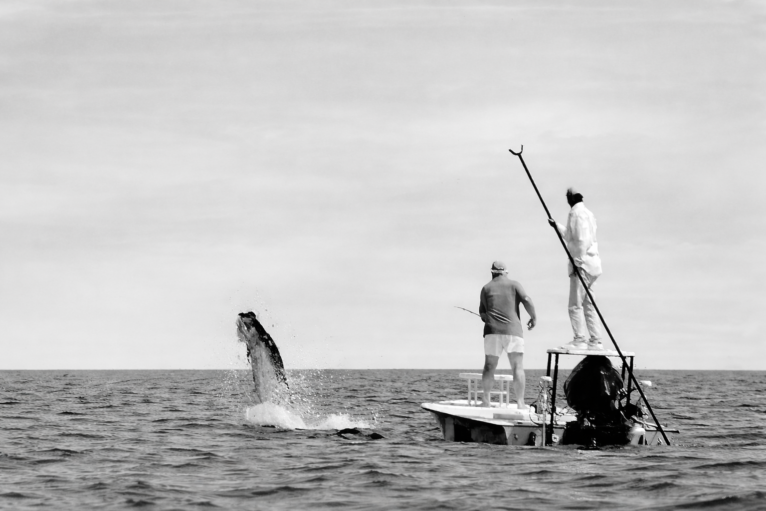 Fishermen and the leaping tarpon.png