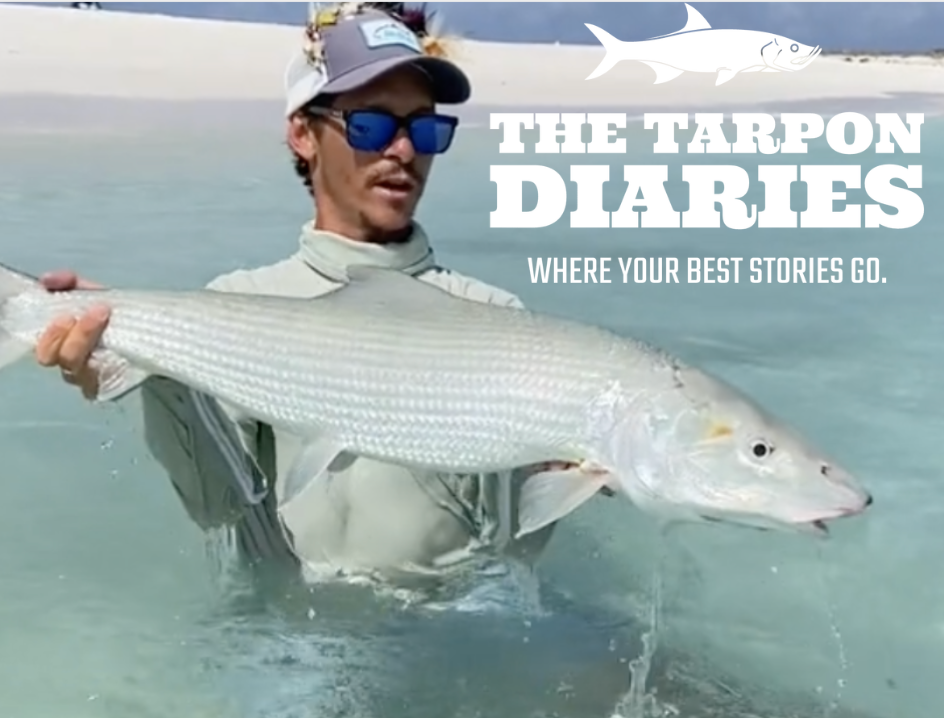 Screenshot 2026-03-23 at 2.23.01 PM.png