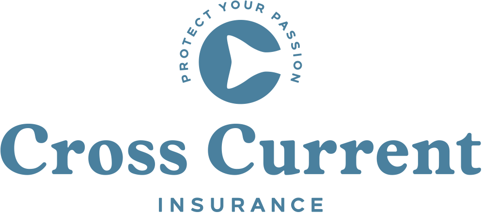 CrossCurrent-Logo%28horz-blue%2Btag%29.png