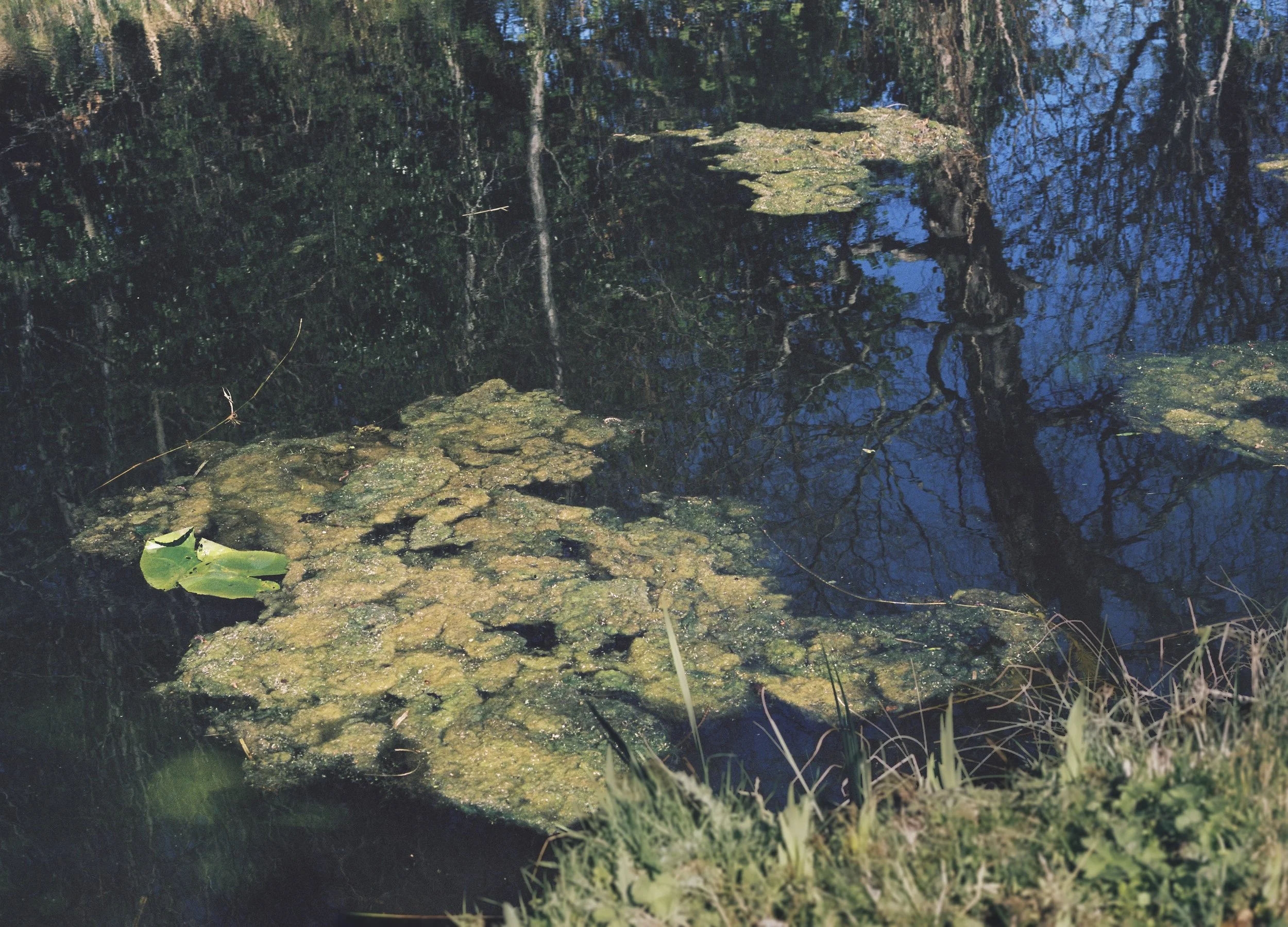  Fréamhaithe san Uisce – Rooted in Water is a visual exploration  of the two canals connecting Dublin to the Shannon – the sea to the river – and of the people who call them home. 