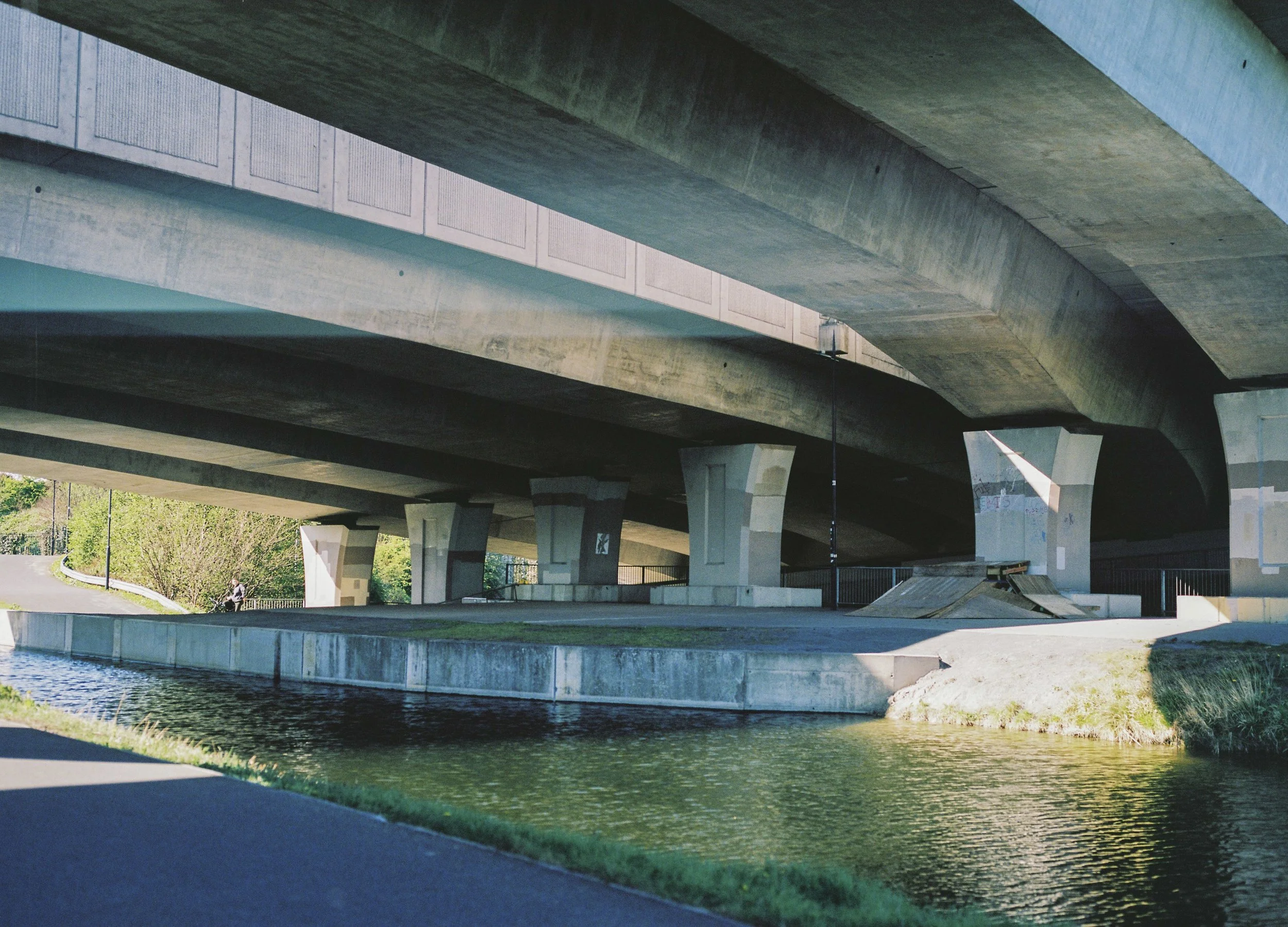 Rooted in Water_6.JPG