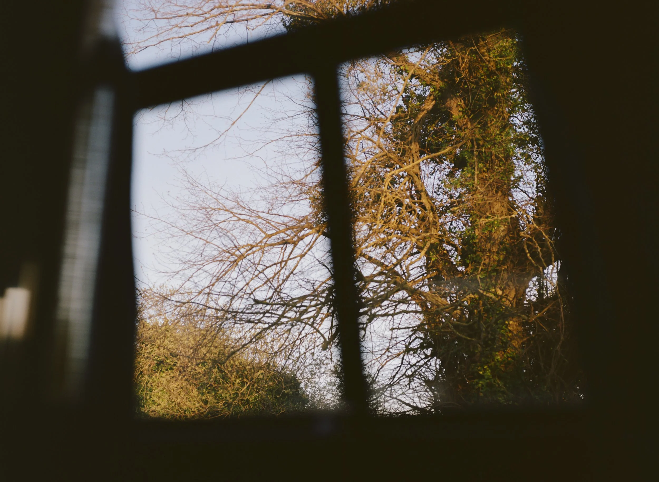Rooted in Water_24.JPG