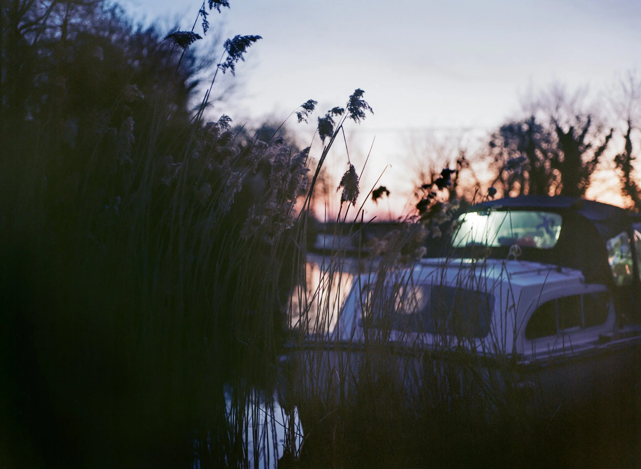 Rooted in Water_30.JPG