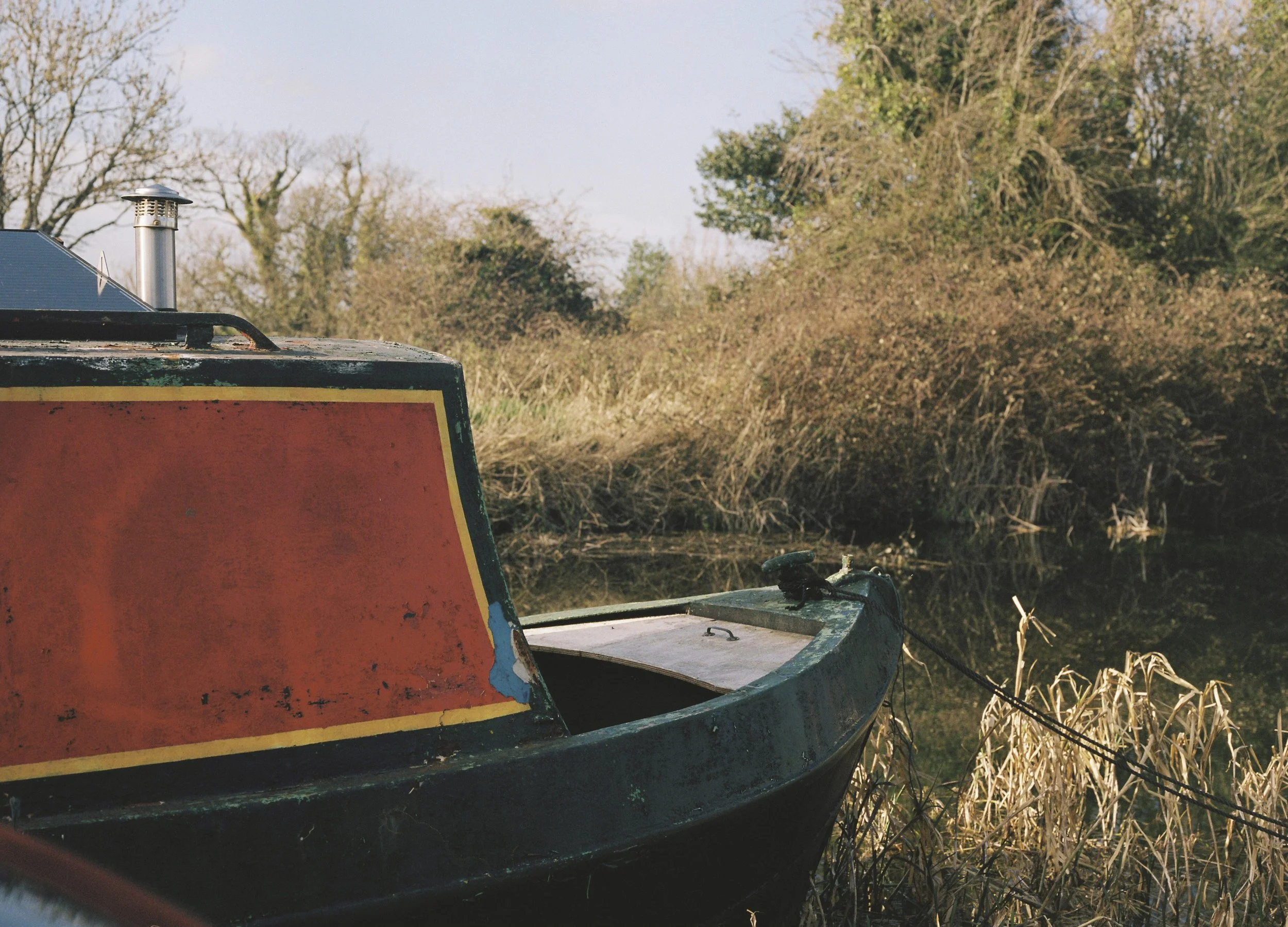 Rooted in Water_35.JPG