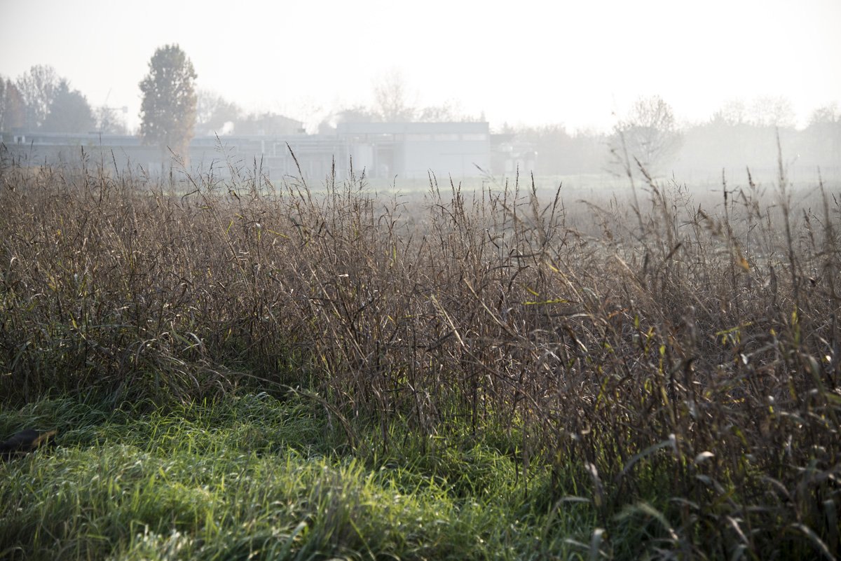 DSC_3608.jpg