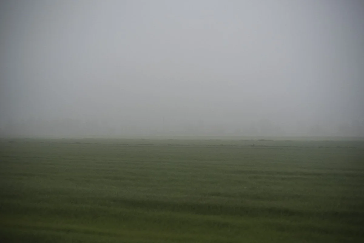 DSC_3641.jpg