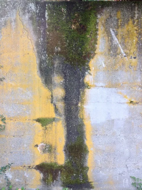 Prepare the Way: Advent Planning for Small and Medium-sized Congregations