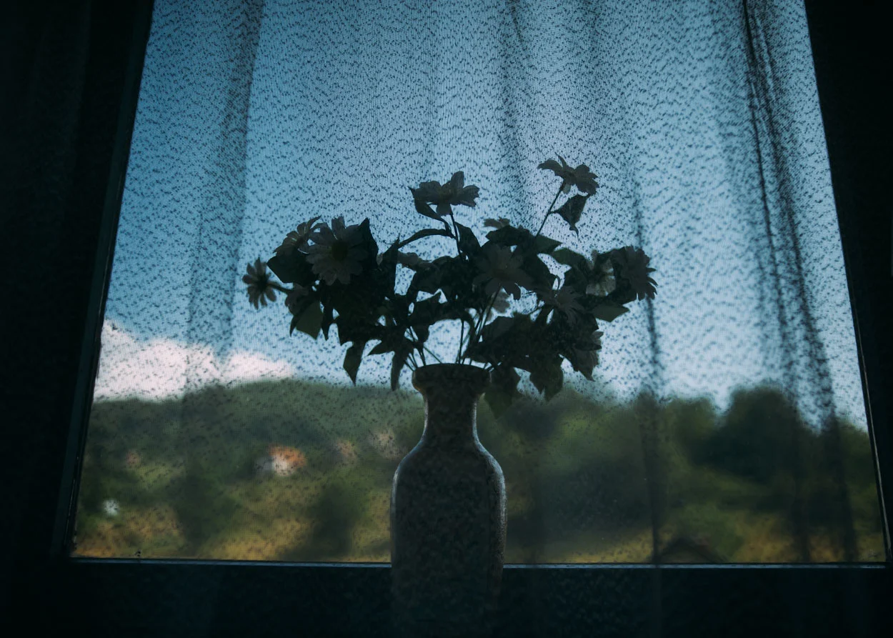 A vase of fake flowers sits in the window of Andrej's home in the Republic of Srpska.