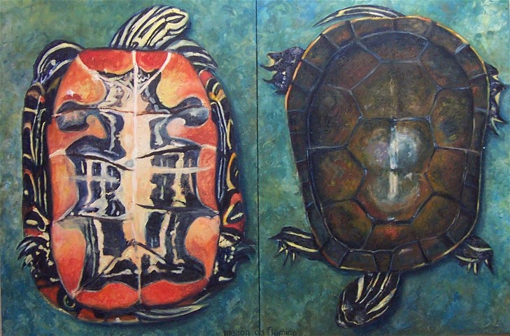 Painted Turtle