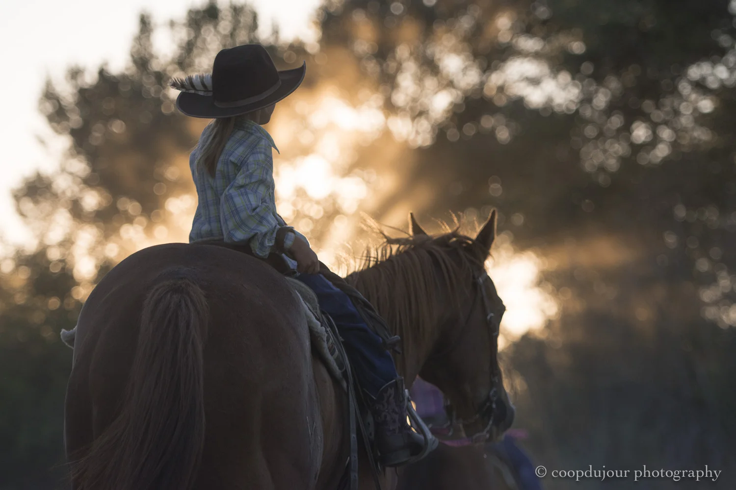 dubois, wyoming rodeo, june 2015