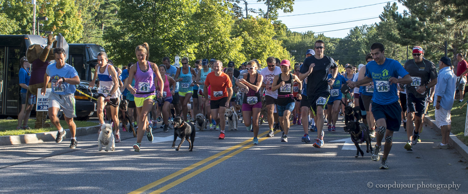 coastal humane society, paws for a cause 5K, freeport, august 2016