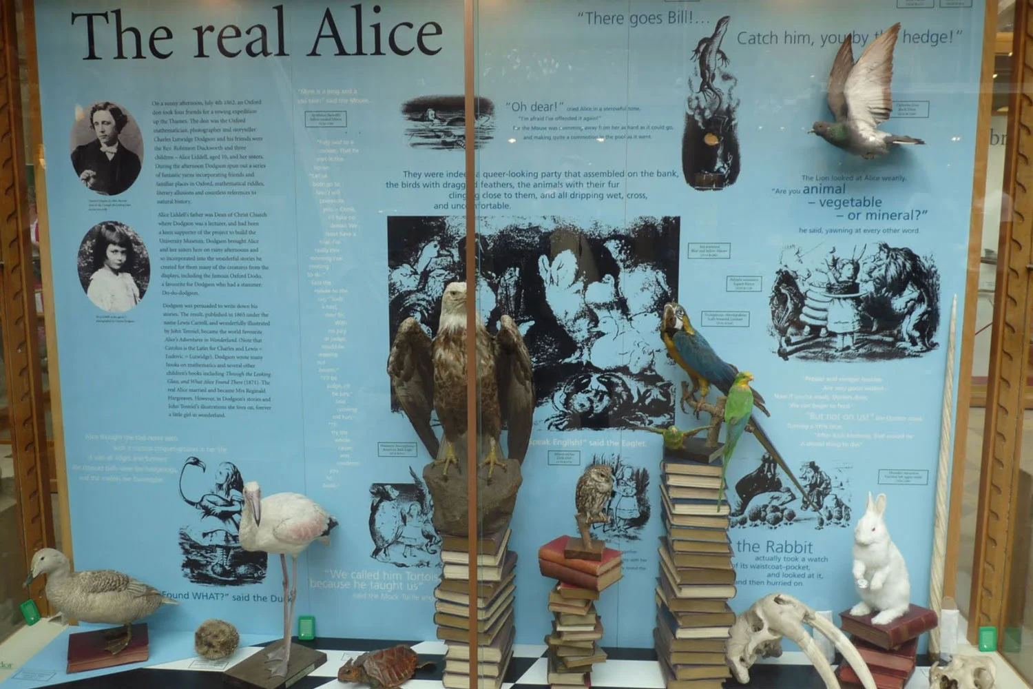 Display dedicated to the museum's connection with Alice in Wonderlands author