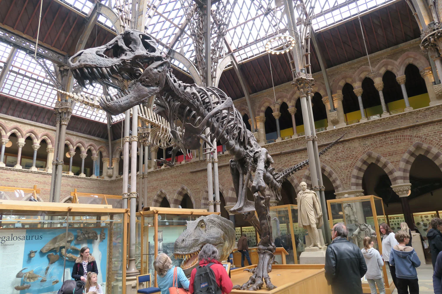 Cast of a 'small' T-Rex fossil, found by one of those 'amateur' fossil hunter