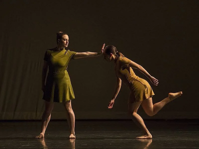 "Bees and Birds" This piece was choreographed and performed for Dance Canvas Atlanta in 2016. I made this piece to be about the simple struggles in a common relationship, and the joys that can come from them. I both choreographed and performed in this work, which debuted at the Rialto Center for the Arts in Atlanta.