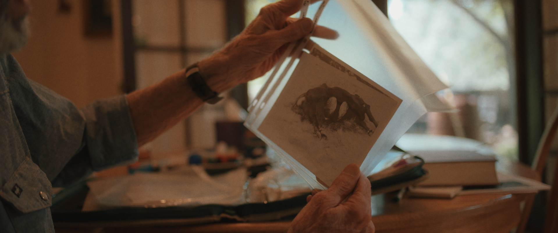 A Bird with a Knife_02.png