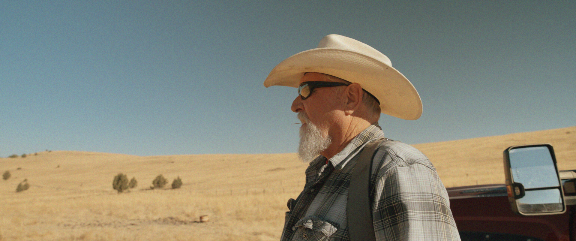 A Bird with a Knife_04.png