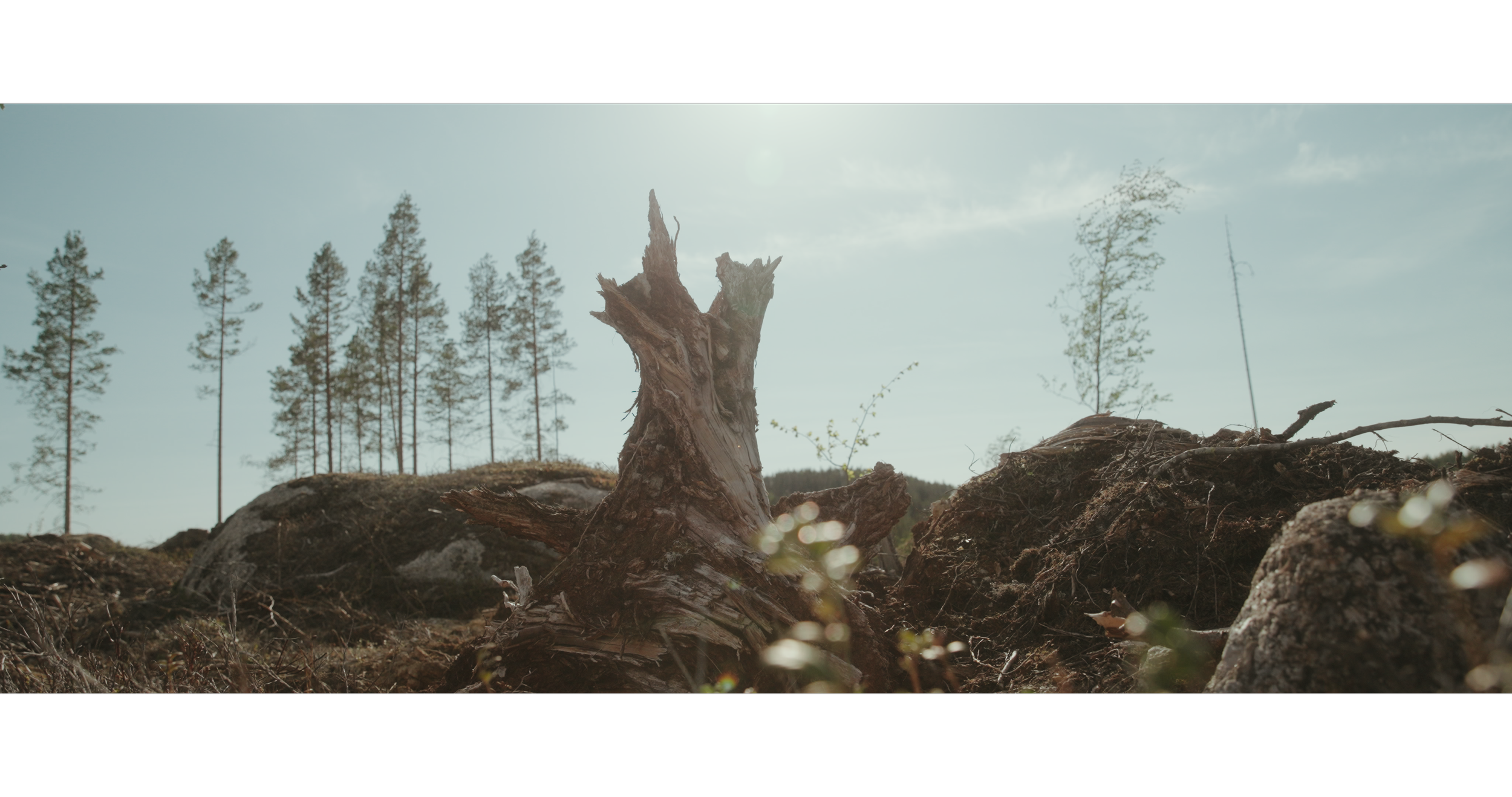 Wild East_Still 17.png