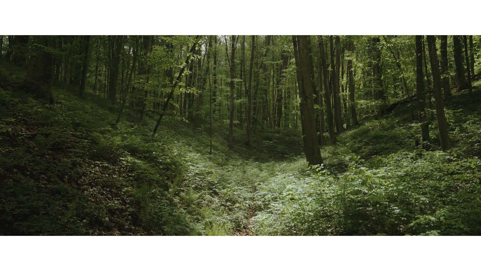 Wild East_Still 04.png