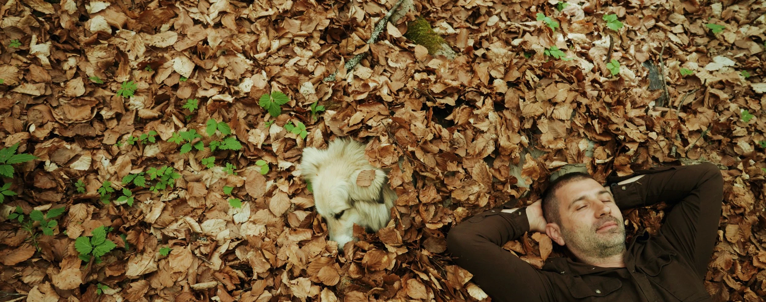 Wild East_Still 01.jpg