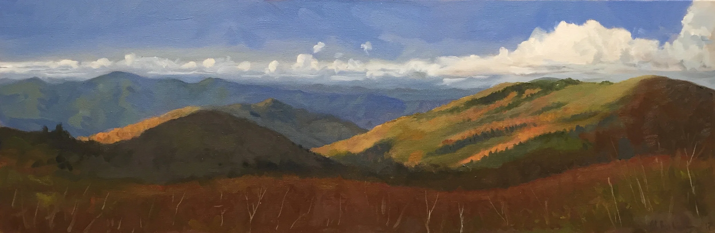 Shining Rock Wilderness