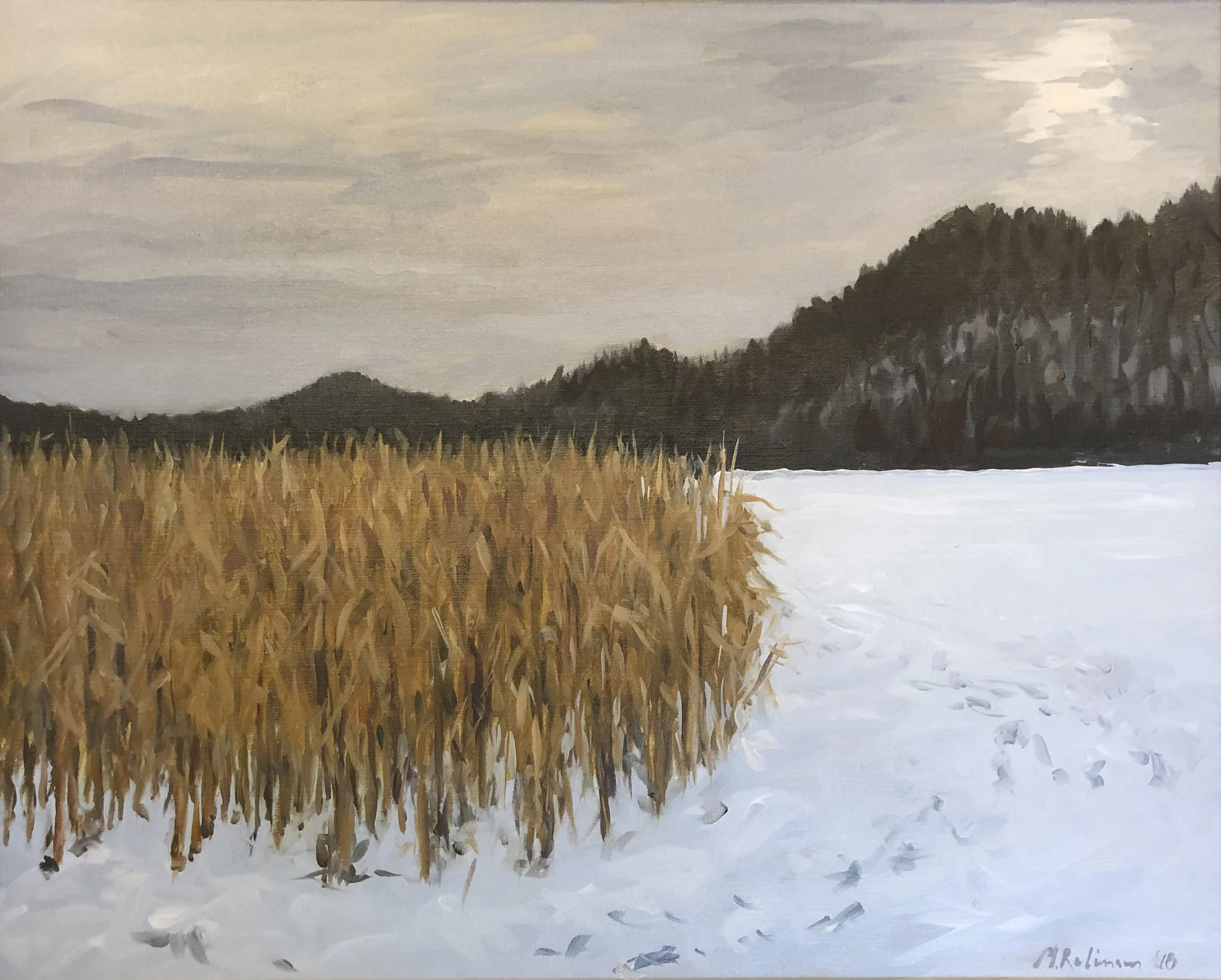 Cornfield and Snow
