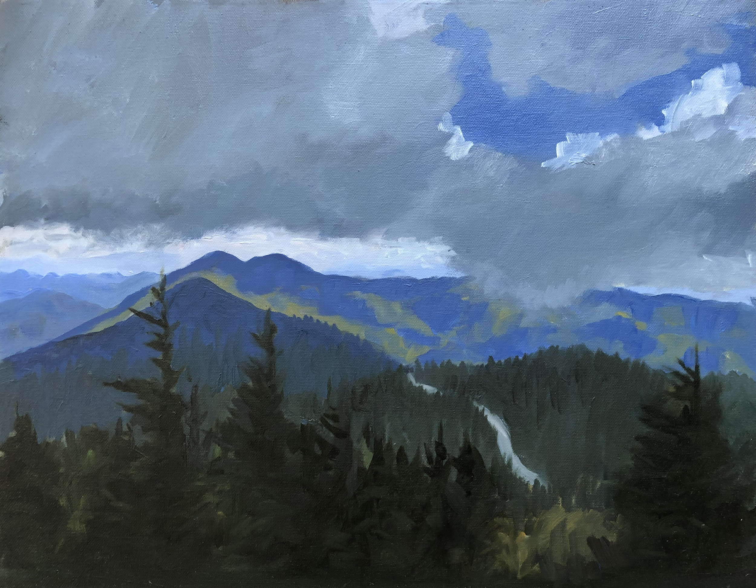 Mt. Mitchell View