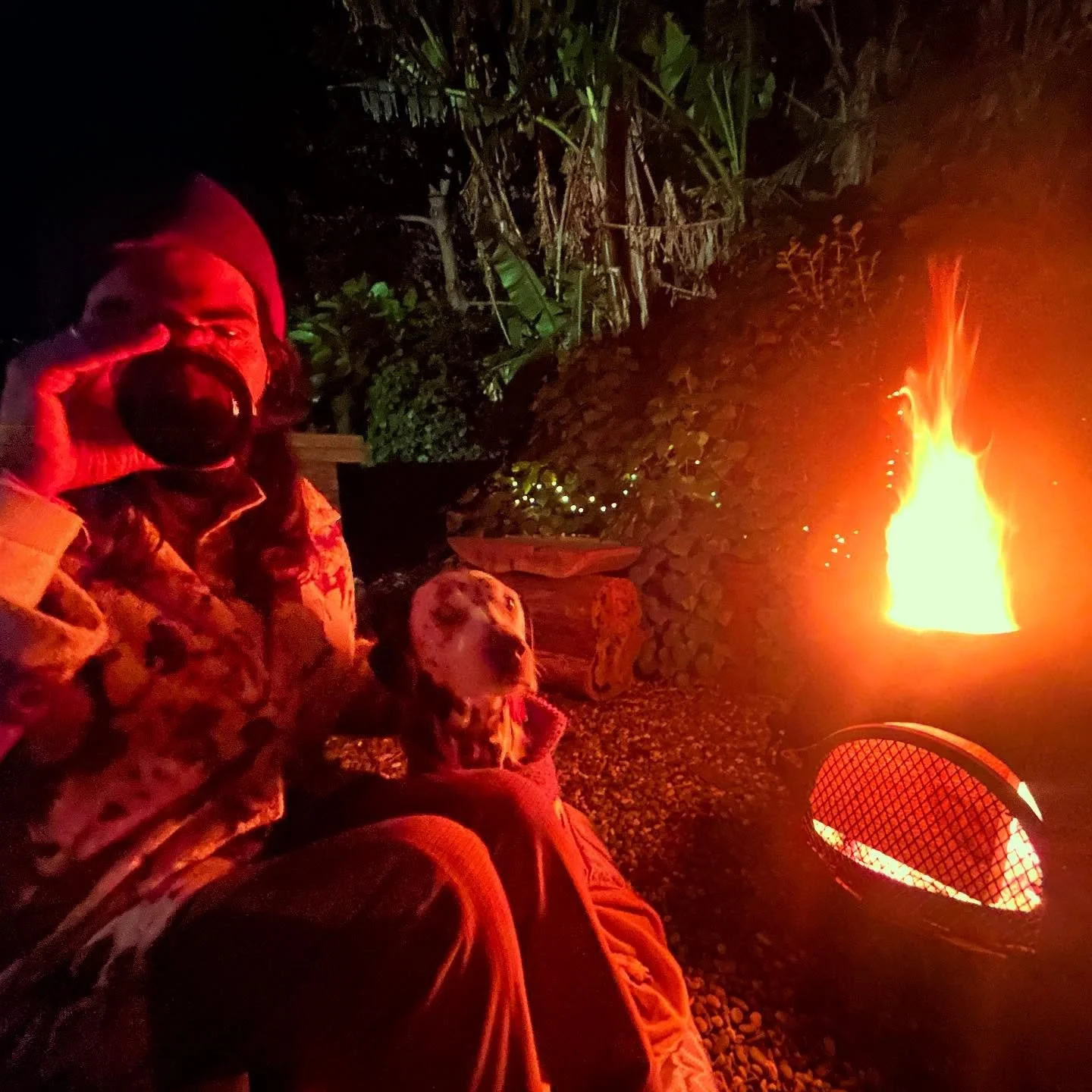 Two fires 🔥 🔥 
One winter swim 
&amp; a feast 🥗 
All in one week 
Big hero energy 🦸🏻&zwj;♀️ 🦭 
~~~~ @mish.mash.radio.ensemble @anna_briers @passtheamyl 🌭 🐼