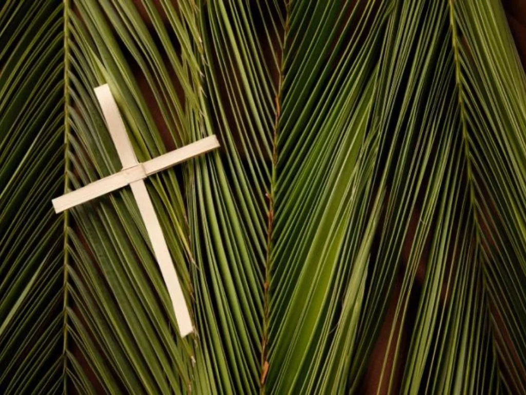 Palm Sunday