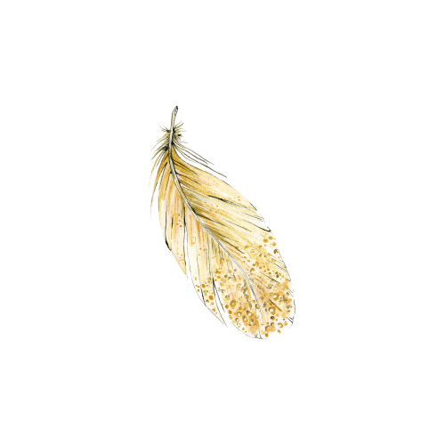 Feather 4_500x500.png
