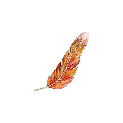 Feather 6_500x500.png