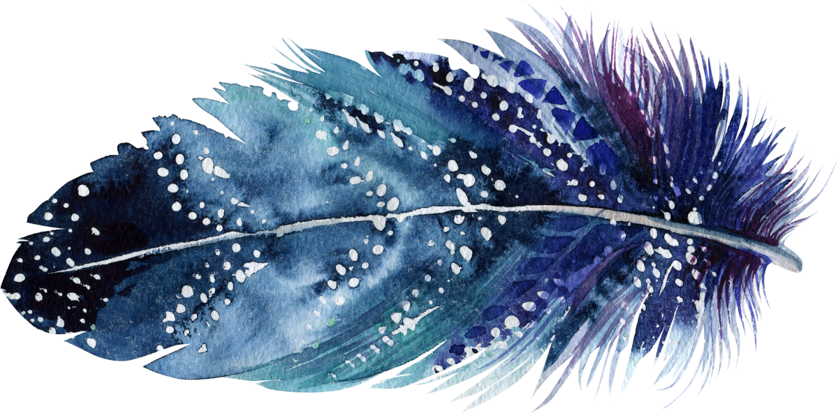 15 feather_1200x592.png