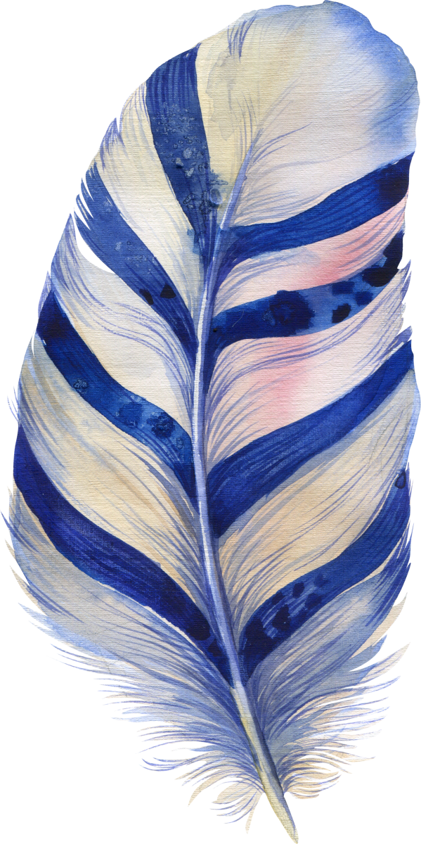 8 feather_599x1200.png