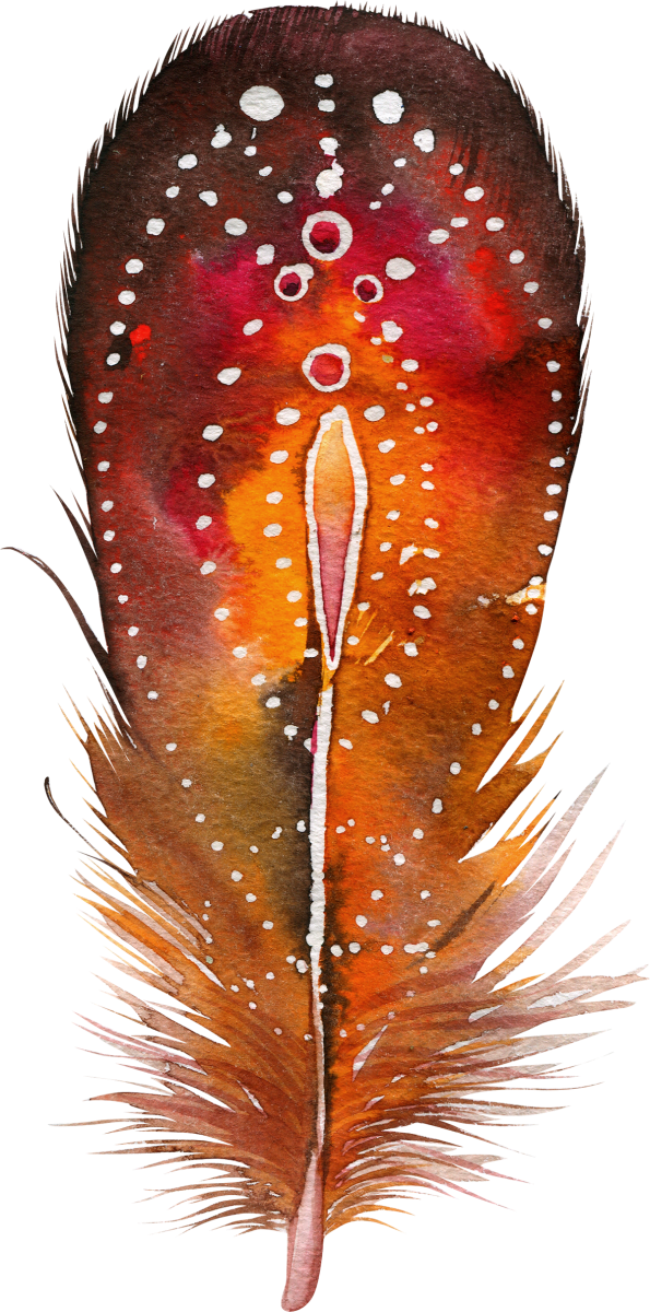 23 feather_595x1200.png