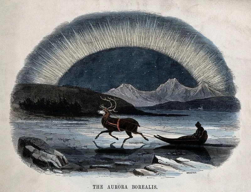Aurora Borealis Reindeer.jpg