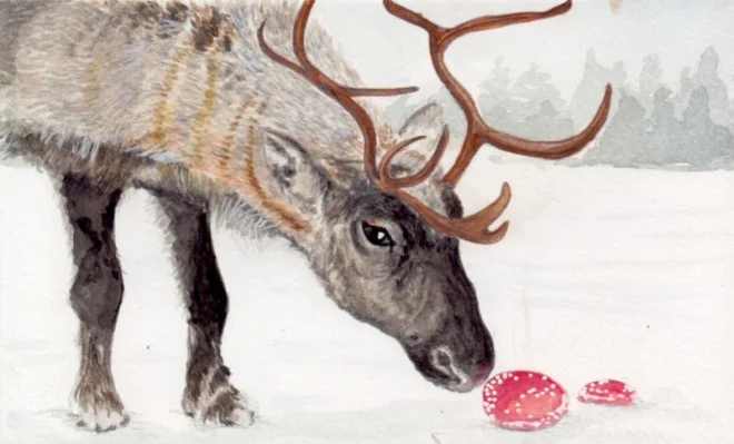 Reindeer and Mushrooms.jpg