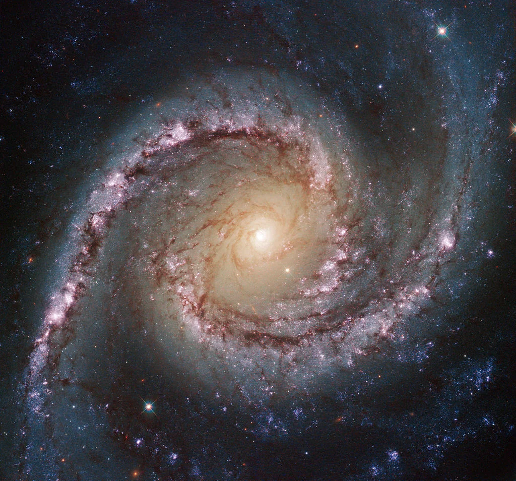 Potw1422a.jpg