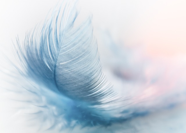 Light and Airy Feather_640.jpg